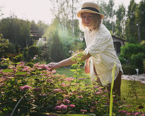 Pflegeleichter Garten – mit System zum entspannten Grün - Pflegeleichter Garten I MeinProjekt