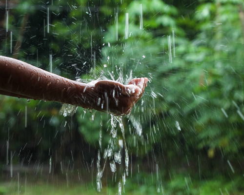 Regenwasser auffangen und nutzen - Regenwasser auffangen und nutzen I MeinProjekt 